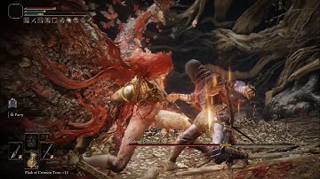 Elden Ring - Dual Daggers w/ Parry VS Malenia [No Hit Run, Faith Build]