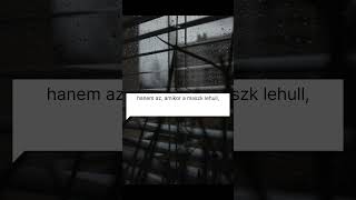 ​Amikor a kedves szavak mögül meglátod az igazságot... 🥀