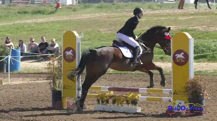 189S Nicole Fink on Serendipity Intro Show Jumping...