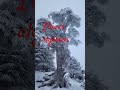 L Hiver Algerien Hiver Neige Nature Kabylemusique Love Tiktok Duo Instagram Explore Reels L Hiver Algerien Hiver Neige Nature Kabylemusique Love Tiktok Duo Instagram Explore Reels