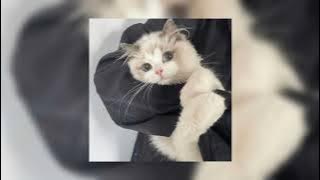 Download lagu justin bieber - ghost (sped up)