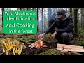 Winter Mushroom Foraging and mushroom and steak sandwich in the woods