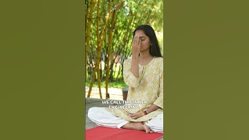 You can engineer your interiority to generate a very profoundly pleasant experience for yourself.