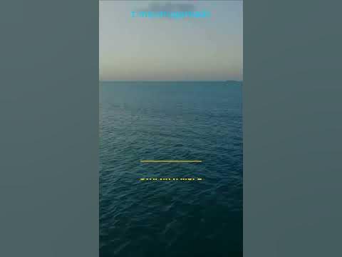 Пять цитат из книги: "Старик и море", Хэмингуэй #shorts #старикиморе # ...