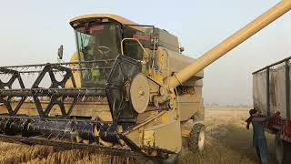 Newholland agriculture Machinery harvester Tc56 sision straw wheat Gundam 2024🫣🫣🤣😂😅😁😁🤐