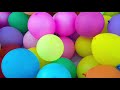 ASMR Balloon Rub Bounce Squeak 1 Hour Ambience Tingle Sounds For Sleep Relax Study NO TALKING ASMR Balloon Rub Bounce Squeak 1 Hour Ambience Tingle Sounds For Sleep Relax Study NO TALKING