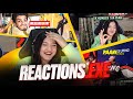 Reactionexe dobby hilarious reaction to my