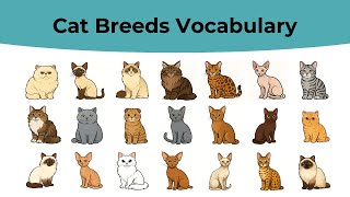Cat Breeds Vocabulary in English | English Vocabulary | English Learning with Pictures!