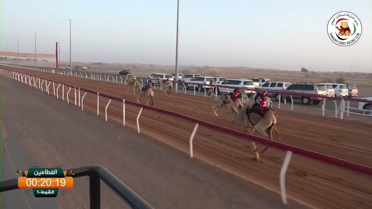 ميــدان الذيد - ش 1 الفطامين 07/03/2026 نمرودة/   سلطان سيف عوض الكتبي   التوقيت: 2:05:31