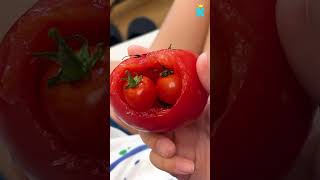 Found baby tomato 🍅 #cooking #food