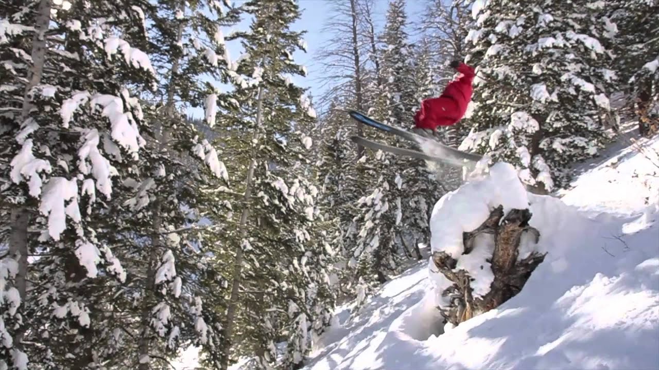 Nordica BUSHYWAYNE Ski 2013-2014