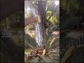 khaby lame viral, funny , trending videos , MDReacts funny videos, don’t , f