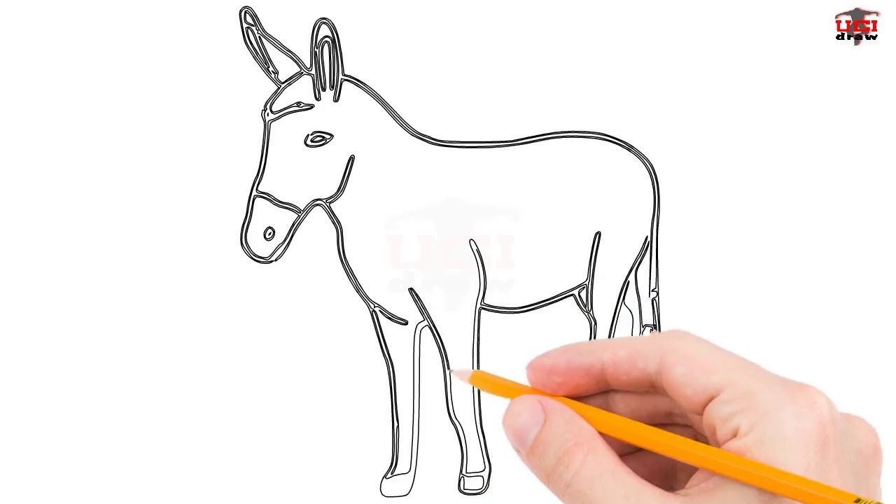 How to Draw a Donkey Step by Step Easy for Beginners/Kids – Simple