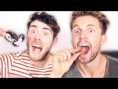 EATING INSECTS CHALLENGE