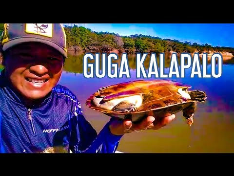 Conheça o Canal do Meu Irmão Guga Kalapalo