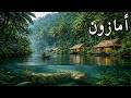 الأمازون البري الحياة والموت يعتمدان على المفترسات العليا وثائقي 4K 