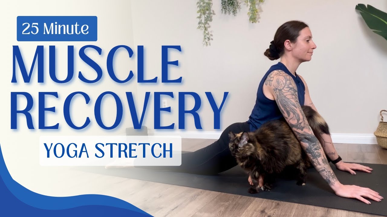 25 Minute Yoga for Muscle Recovery All Levels Gentle Flow YouTube