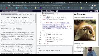FreeCodeCamp Responsive Web Design Episode 3