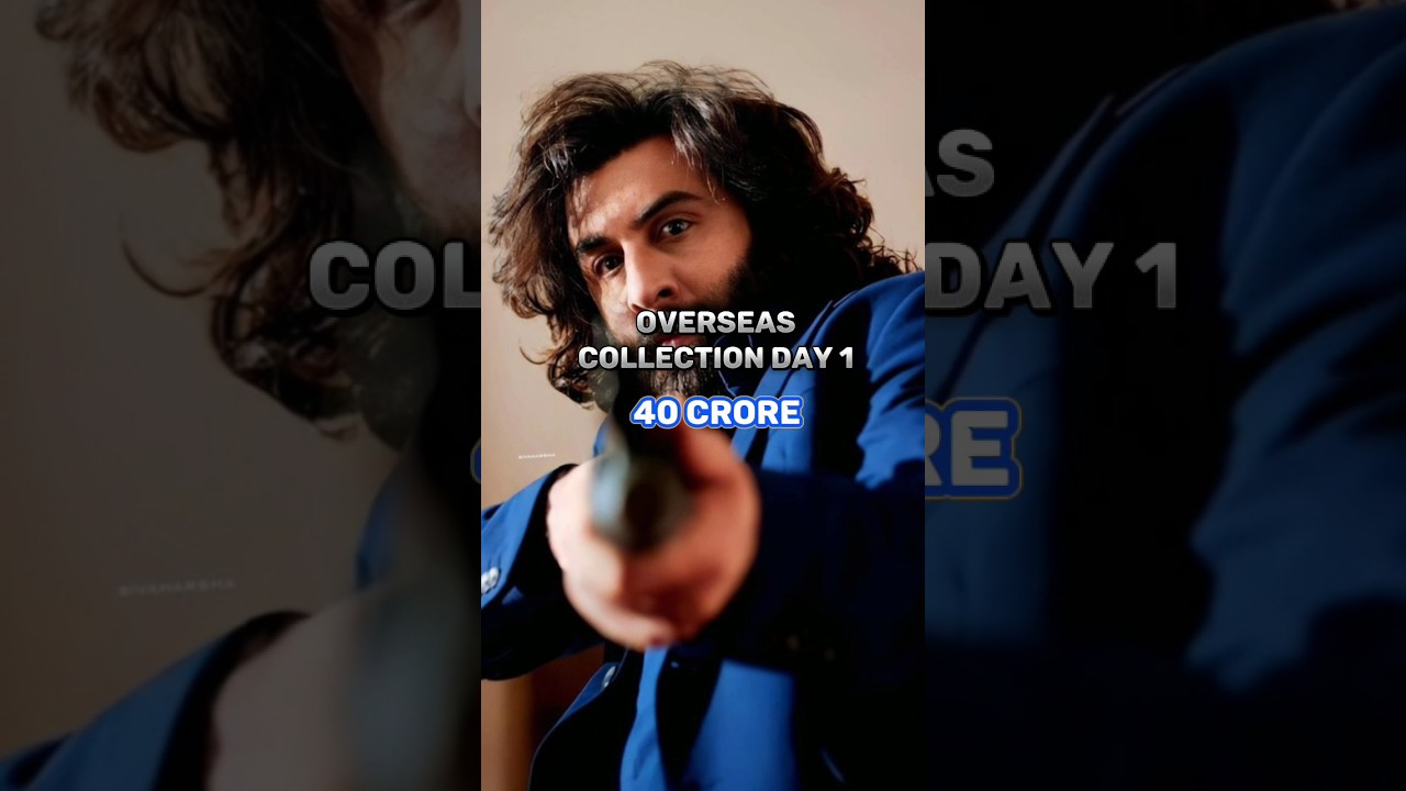 Animal Movie Day 1 box office collection All language India net 