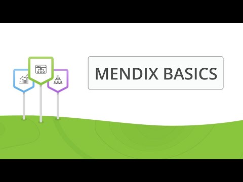 First thing to do after creating a mendix project.