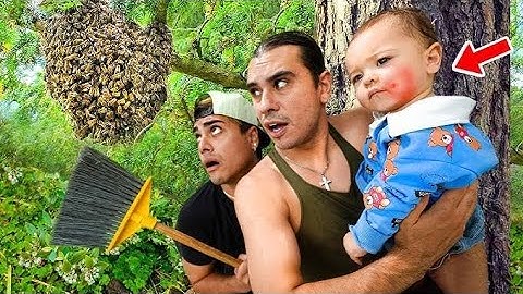dobre brothers - Our Baby Got STUNG By A Bee!