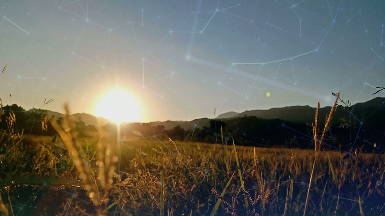 Ver Elbio - Sunset (Lyrics Video) no YouTube Ver Elbio - Sunset (Lyrics Video) no YouTube