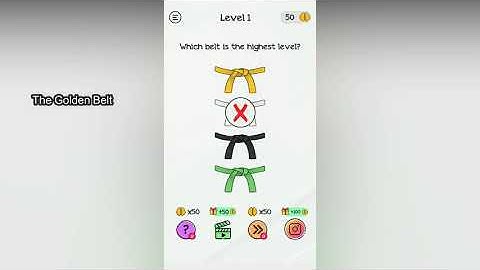 Braindom Level 1 Which belt is the highest level?