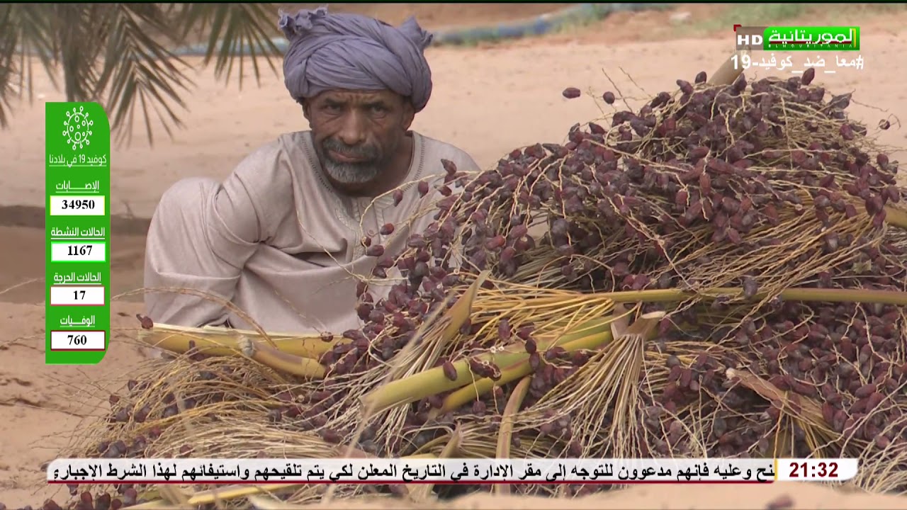 فسحة مع المزارع: الكيطنه في واحات أطار
