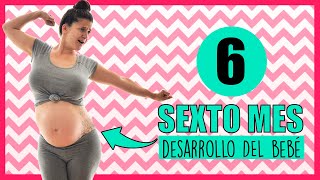 ️ ¿Cómo es la BARRIGA de una EMBARAZADA de 6 meses?  Que pasa en el SEXTO MES de EMBARAZO