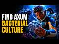 How to Find Axum Bacterial Culture in Subnautica 2