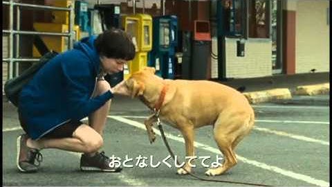 「ウェンディ＆ルーシー」 予告