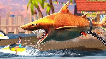 Double Head Shark Attack - New Hungry Shark THE MEG Gameplay (iOS/Android)