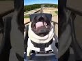 Pug's Roller Coaster Reaction 🐾😱