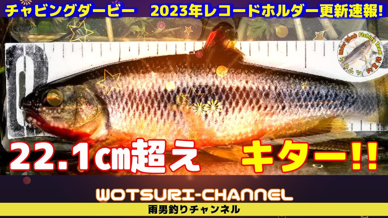 チャビング☆ついにキター！！カワムツ釣査隊員が記録更新☆