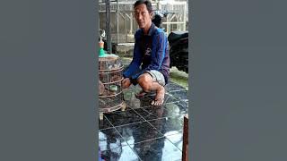 tamunya om tonis(maju mapan bf)