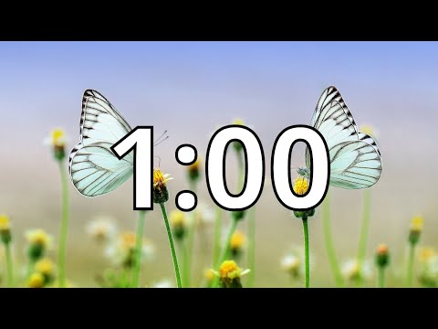 1 Minute Timer with Music | Spring Timer