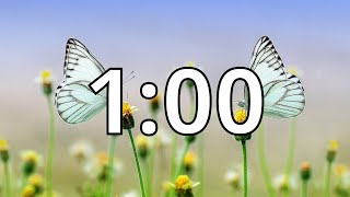 1 Minute Timer with Music | Spring Timer Net Worth