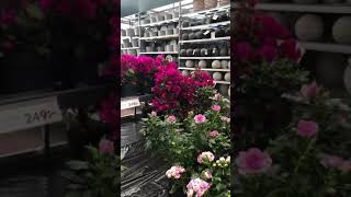 Plantagen I Jönköping