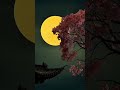 #trending #viral #reels #trendingshorts #viralvideo #emotional #nature #peace #trendingsong