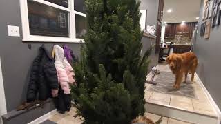 Christmas Tree Stand Adjustment Hack
