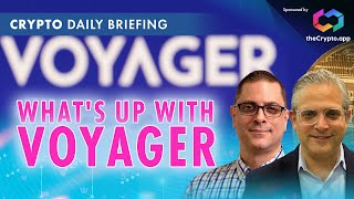 An Insider's Look Into the Messy Voyager Bankruptcy