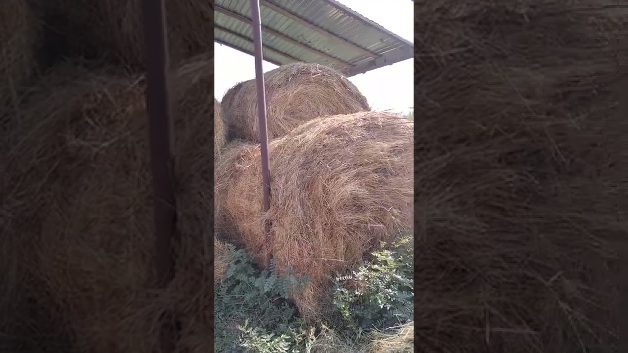 Скирдую рулоны на сеновал. - YouTube