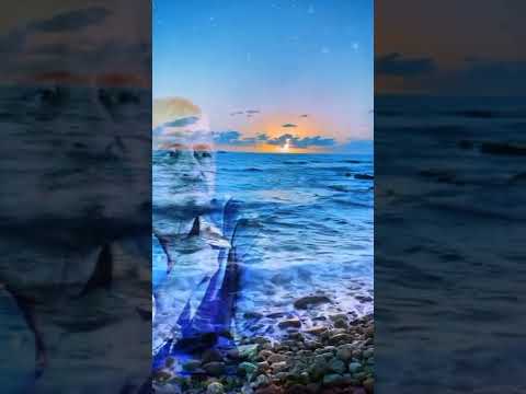 جورج وسوف ضيعت عمري بالعشق ياما