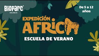Abierto el plazo de inscripción para &quot;Expedición África Verano 2023&quot; de BIOPARC Valencia