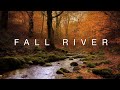 Fall river  3 hours of water flowing lapping  relaxing autumn nature ambience