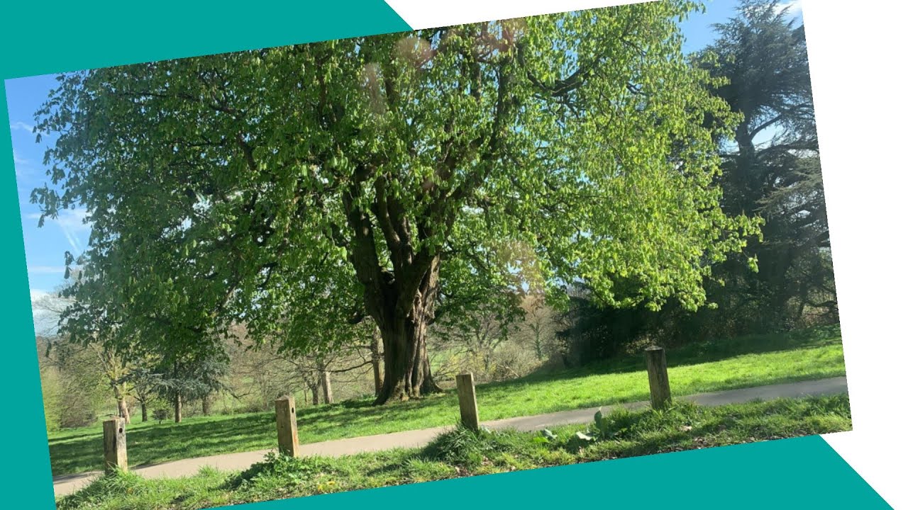 Prospect Reading England Part 1