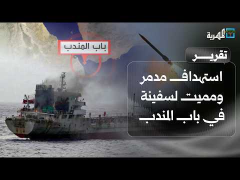 استهداف مدمر ومميت لسفينة في باب المندب وتفاصيل تكشف محتواها وجنسيات طاقمها