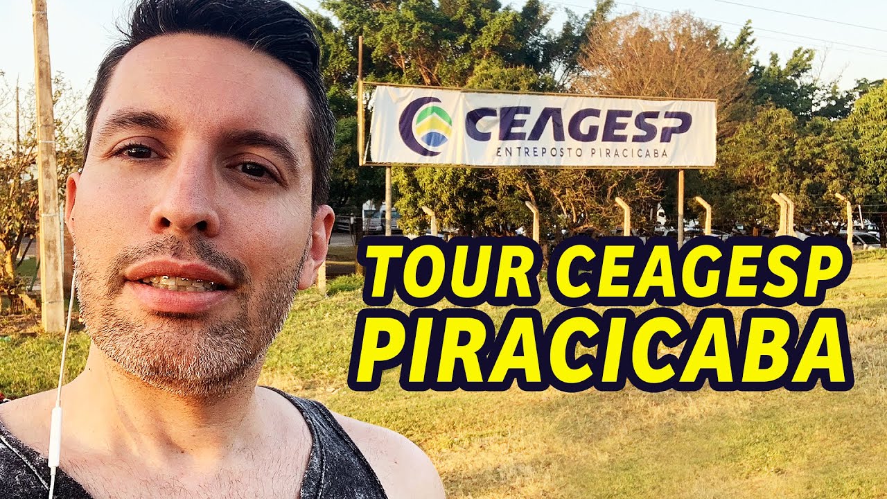 CEAGESP PIRACICABA - Variedade de cactos, suculentas e preços!