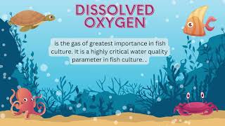 AQUA | Water Quality: Light, Turbidity & DO | 2022-2023 Aqua Water Quality Total Alkalinity Total Hardness 5dvm B 2022 2023