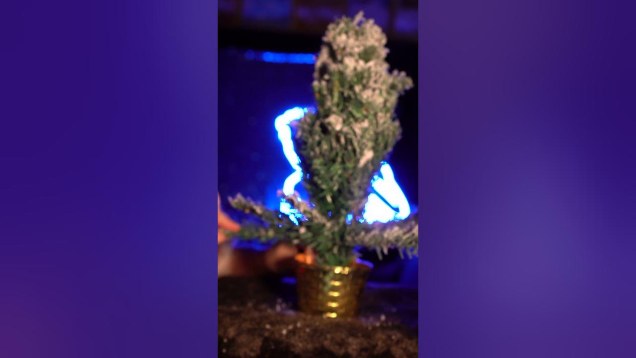 🎄Preview Decoration du sapin de Noël🎄 YouTube